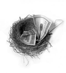 Money bird's nest