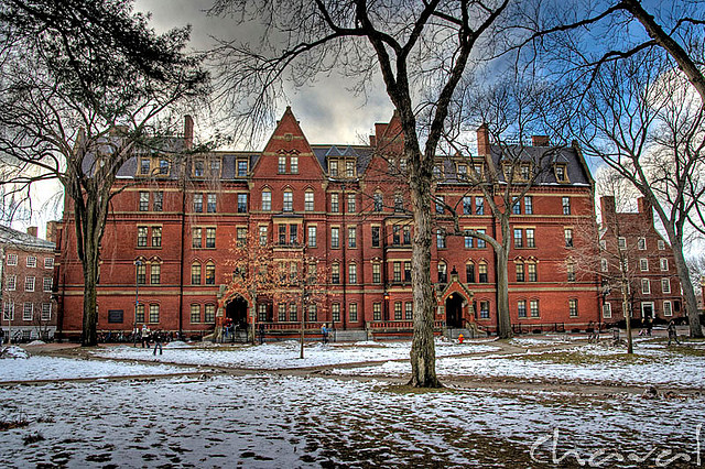 Harvard winter